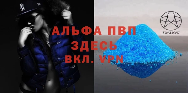 гашик Нефтекумск