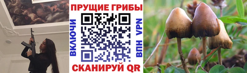 Галлюциногенные грибы мухоморы Самара