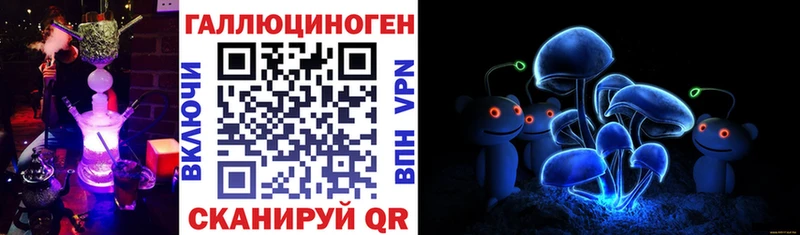 Купить где  Самара  Псилоцибиновые грибы MAGIC MUSHROOMS 